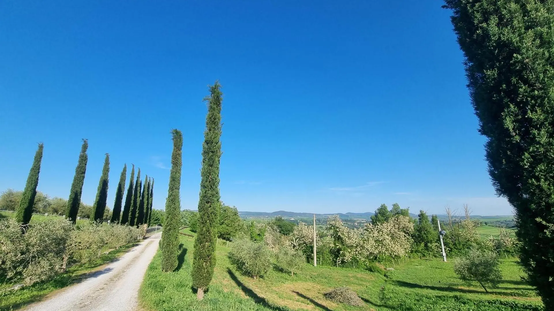 Apartament Le Crete Senesi Asciano Włochy